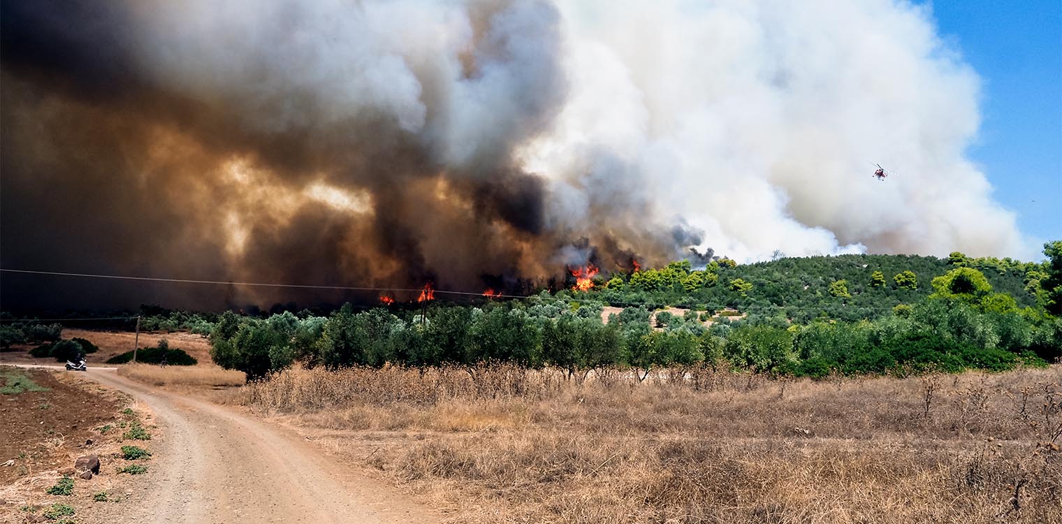 Φωτιές: Μάχη με τις φλόγες σε Ροδόπη, Καβάλα, Βοιωτία, Εύβοια, Κύθνο - Συνεχείς οι εκκενώσεις οικισμών