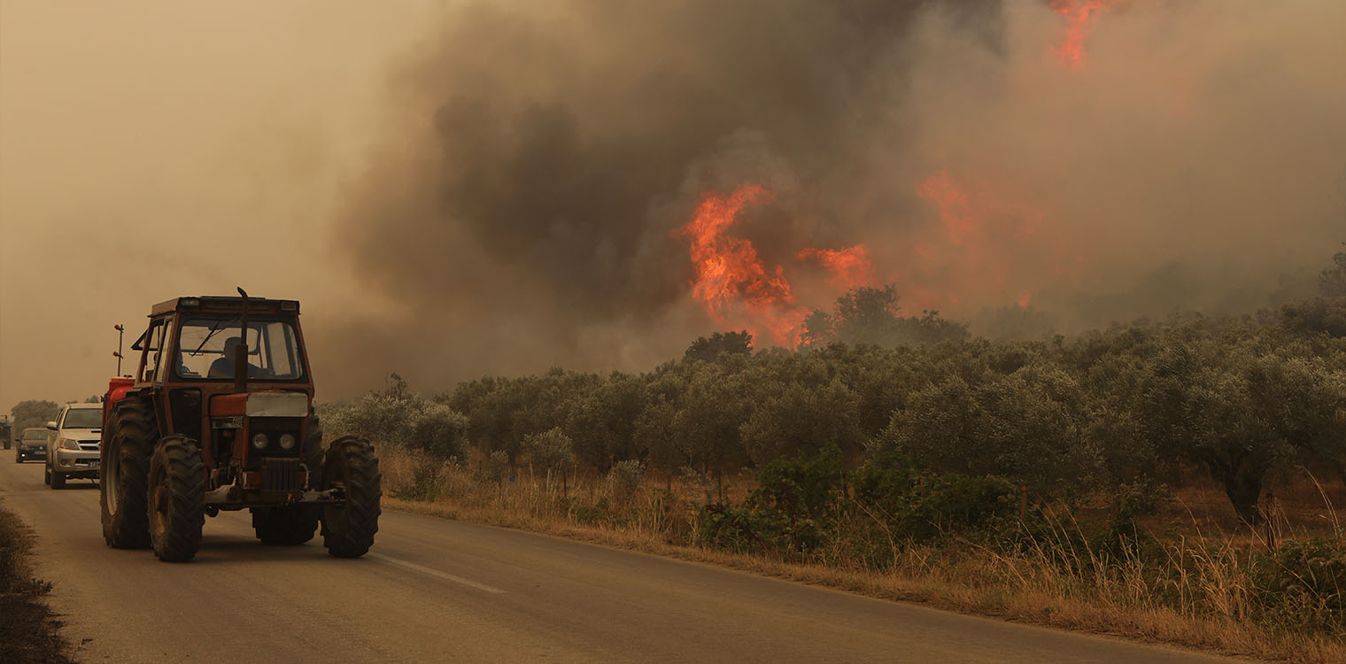 Ανεξέλεγκτες οι πυρκαγιές σε Αλεξανδρούπολη και Ροδόπη - Συνεχείς εκκενώσεις και 18 νεκροί μετανάστες στη Δαδιά
