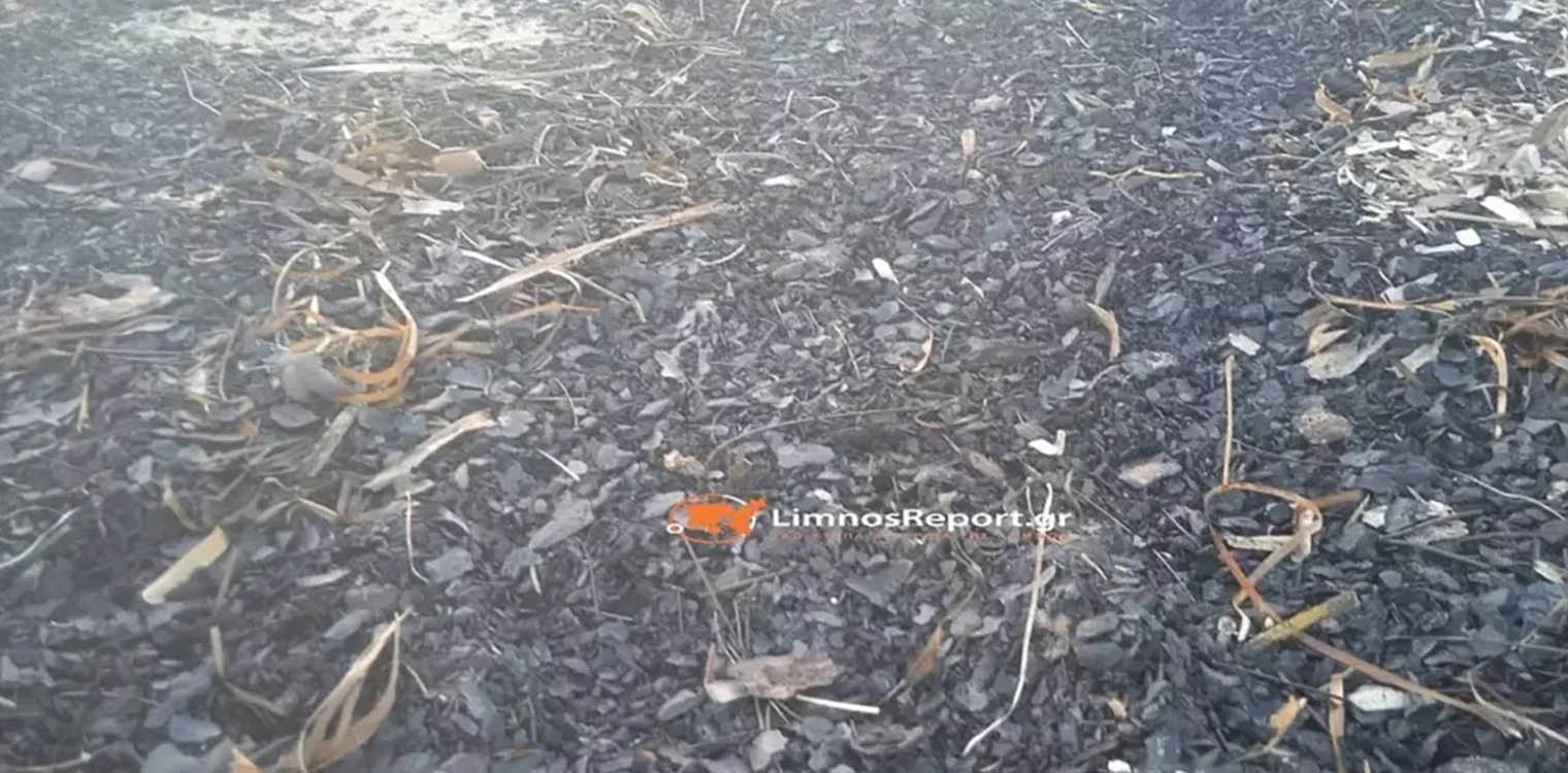 Φωτιά στον Έβρο: Αποκαΐδια έφτασαν σε παραλία της Λήμνου