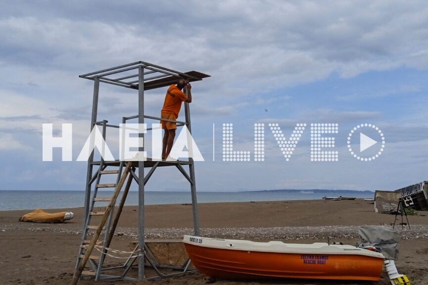 epitalio new 4