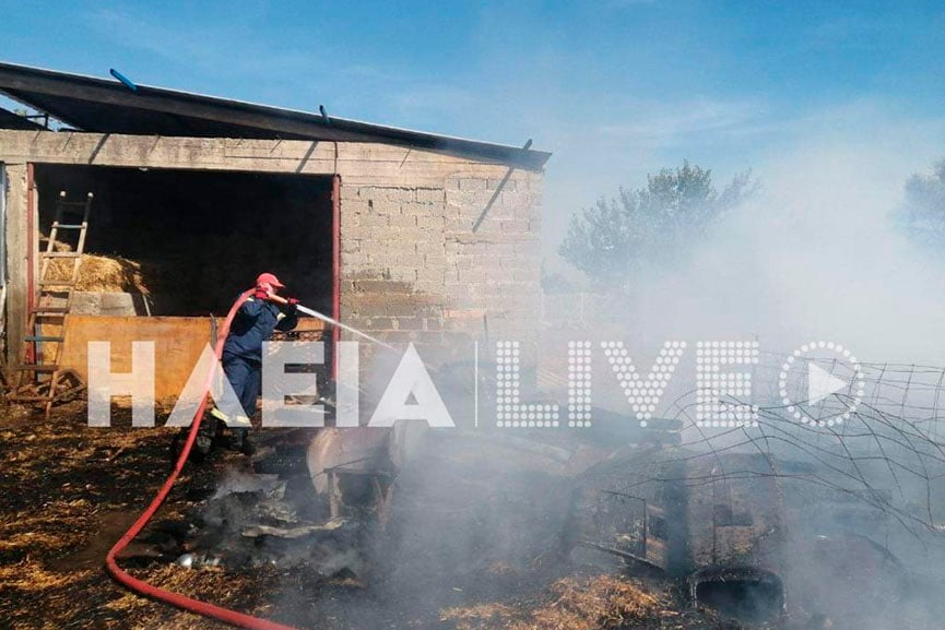 fotia stavlos lexaina.4