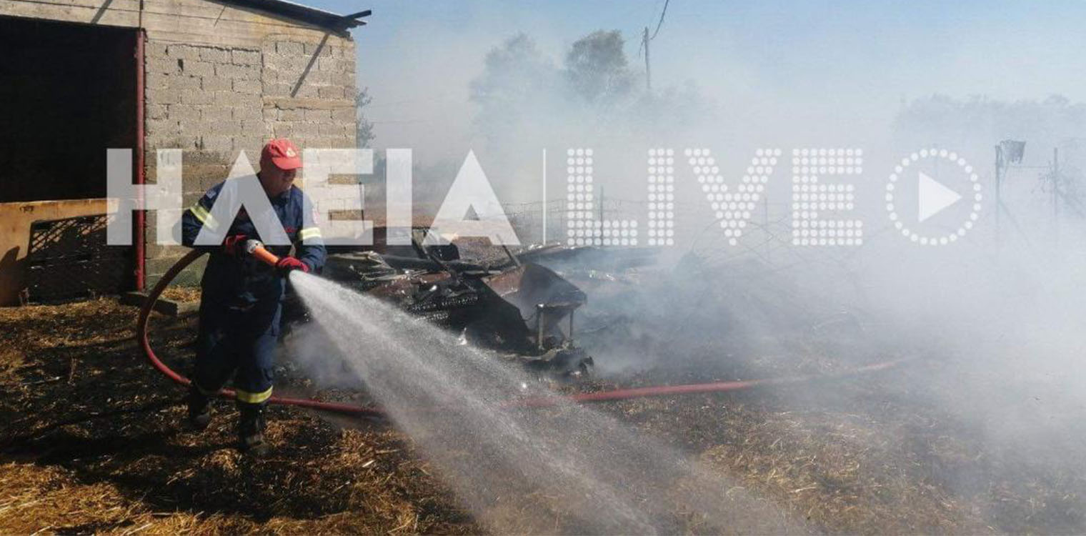 Λεχαινά: Πυρκαγιά απείλησε να κάψει δεκάδες ζώα σε στάβλο