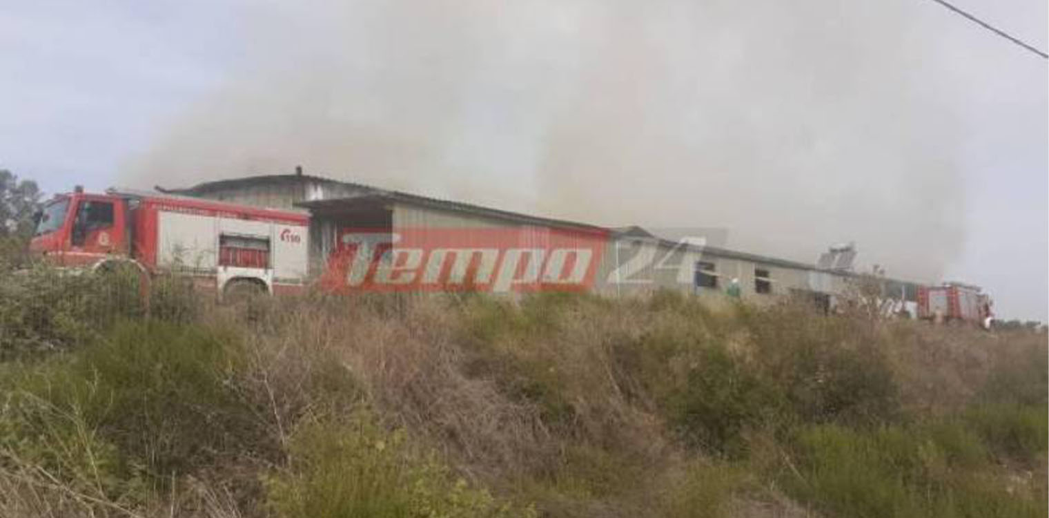 Δυτ. Ελλάδα: Μεγάλη φωτιά σε στάβλο - Κάηκαν ζώα και αγροτικός εξοπλισμός (photos)