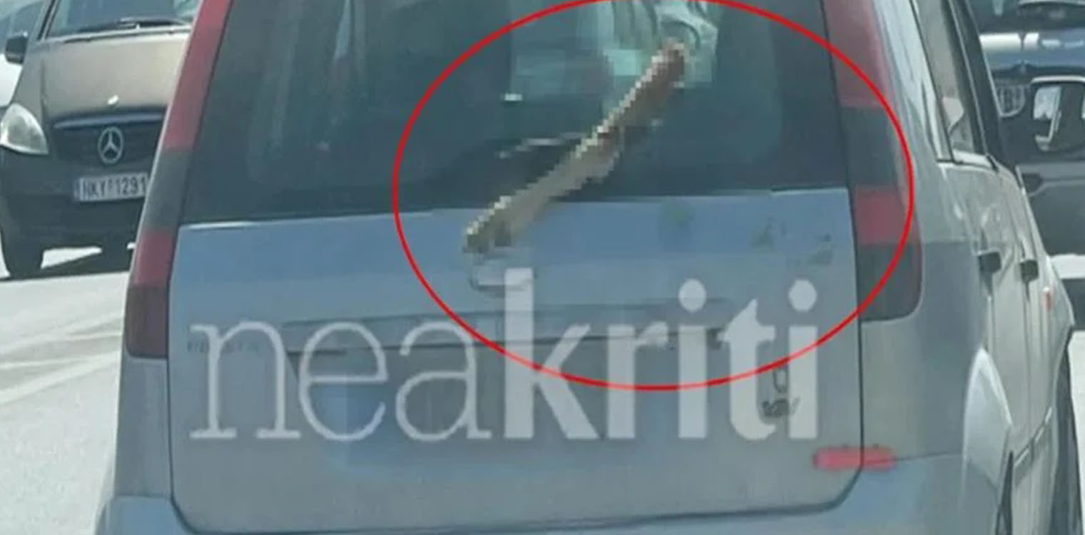 Αποτρόπαιο θέαμα: Κυκλοφορούσε με ένα πόδι κατσίκας σφηνωμένο στο παρμπρίζ του αυτοκινήτου του