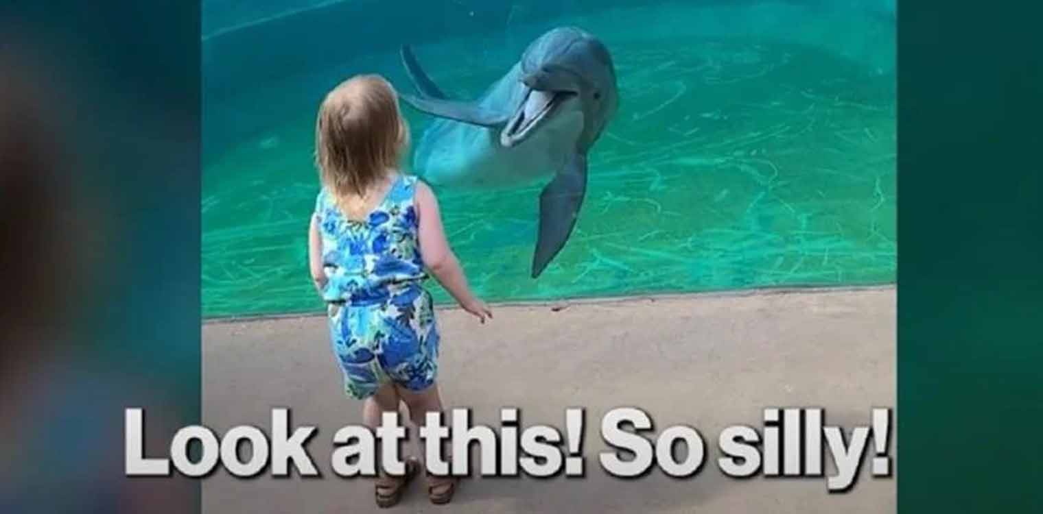 Αξιολάτρευτο βίντεο: Μια φιλία γεννιέται - Δελφίνι «μιλά» σε μικρό κοριτσάκι 