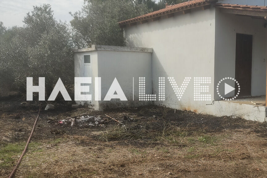 fotia agioanni 8