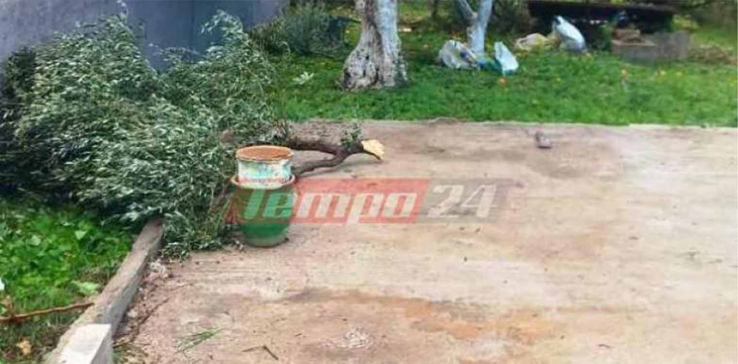 Αχαΐα: Πέρασμα ανεμοστρόβιλου στα Καμίνια (photos &amp; video)