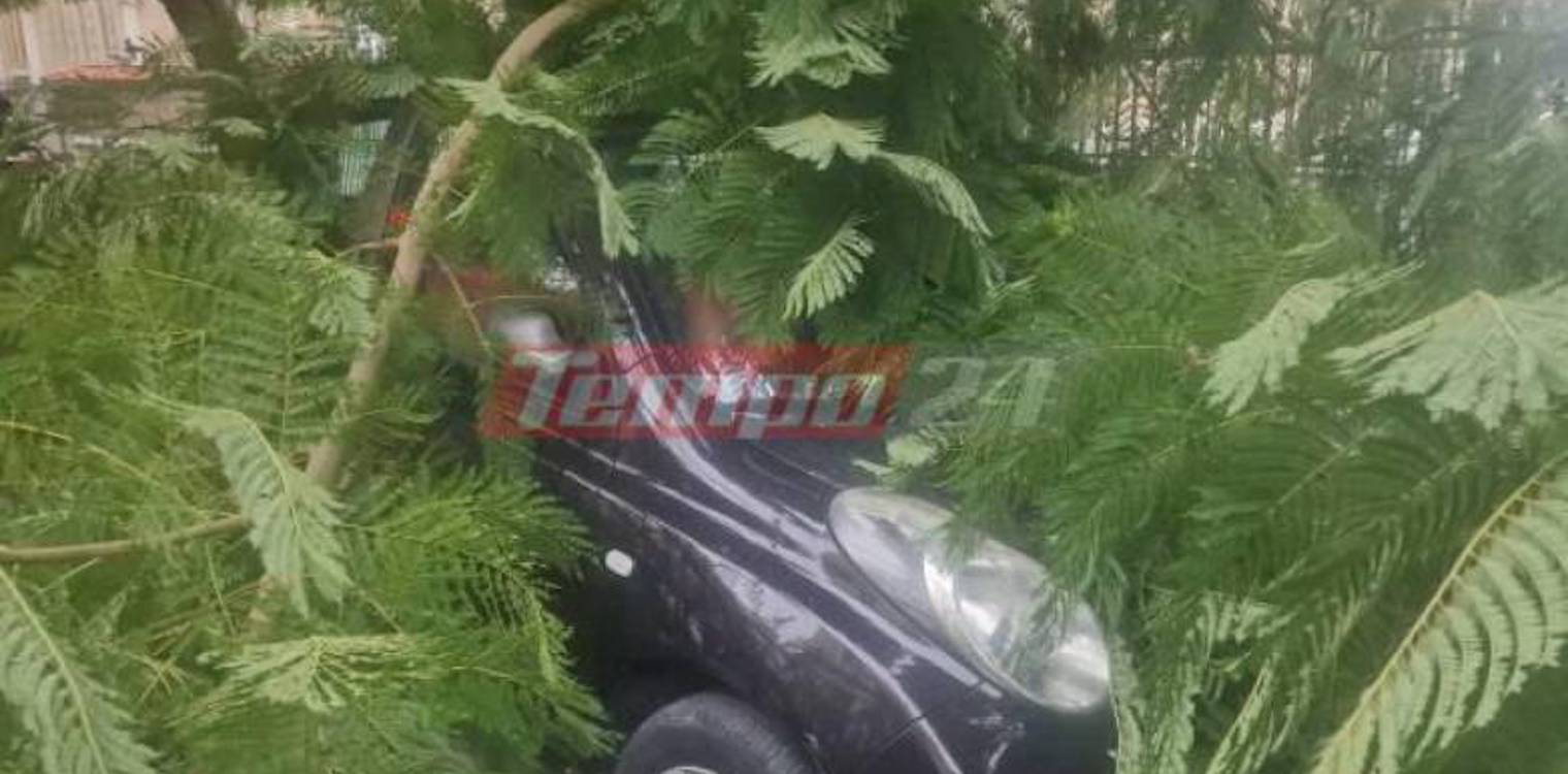 Κακοκαιρία - Πάτρα: Δέντρο καταπλάκωσε αυτοκίνητο
