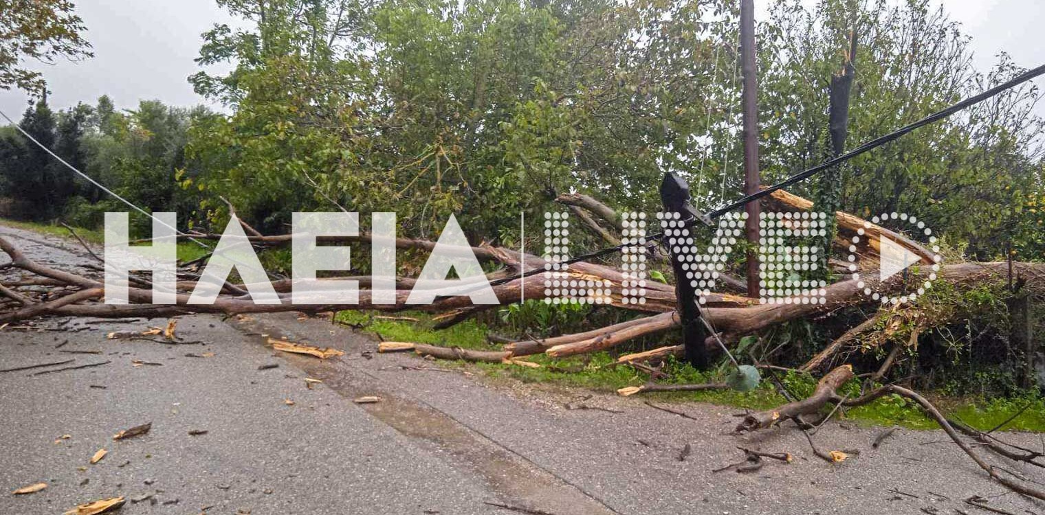 Ηλεία: Μικροπροβλήματα από την έναρξη της κακοκαιρίας - Αρκετά περιστατικά πτώσης δέντρων
