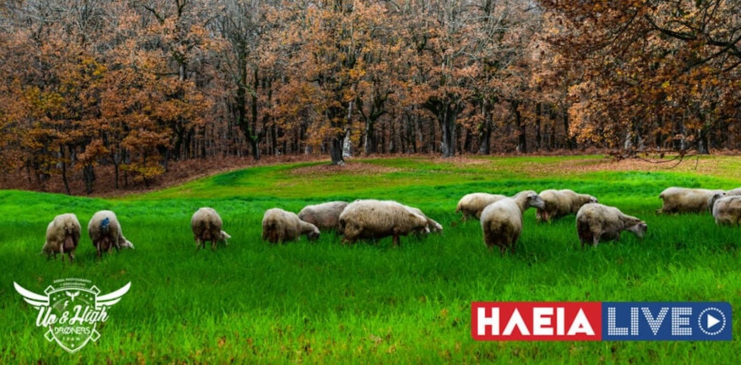 Ηλεία: Παραμένει καλός ο καιρός την Τετάρτη