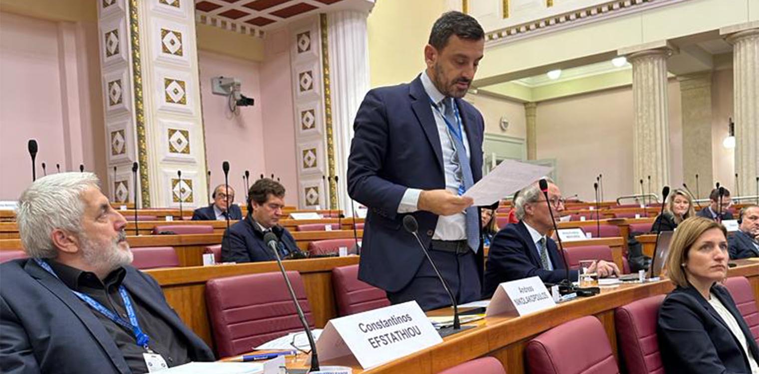 Νικολακόπουλος: «Κλειδί» η συνεργασία και ο διάλογος με τα εθνικά συμβούλια