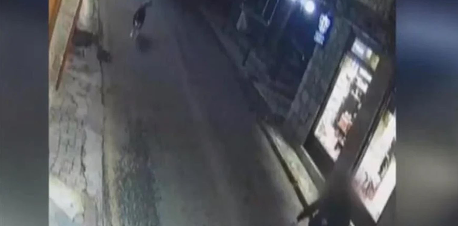 Εξελίξεις στην υπόθεση της Αράχωβας: Φωτογραφία με το χάσκι και άγνωστο άνδρα έδωσε ο ιδιοκτήτης στην ΕΛΑΣ