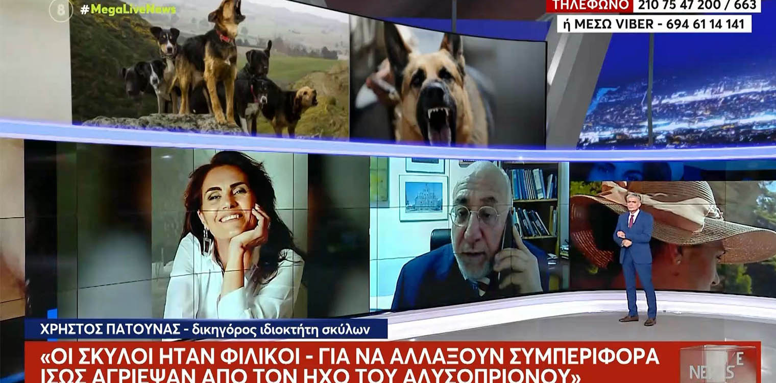Θεσσαλονίκη: «Οι σκύλοι ήταν φιλικοί, τους εξαγρίωσε…» – Τι υποστηρίζει ο δικηγόρος του ιδιοκτήτη