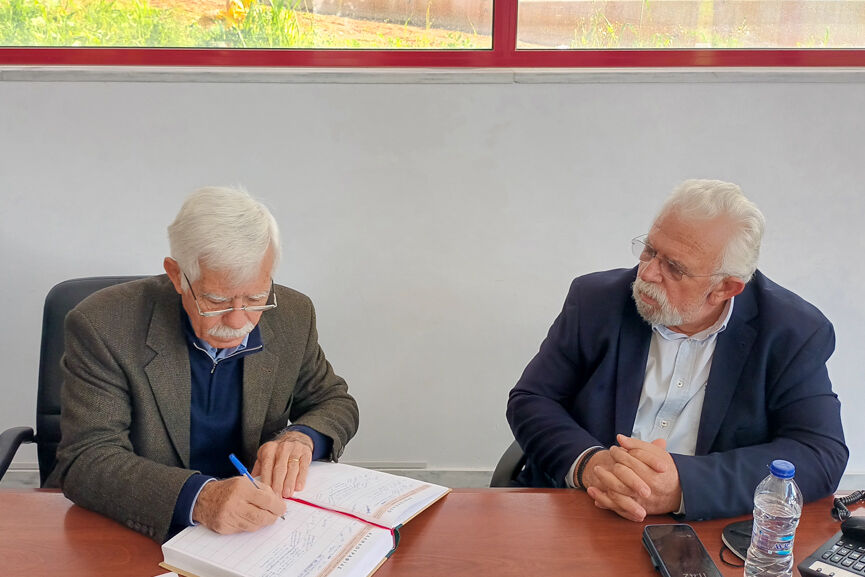 paralavi ilida 2