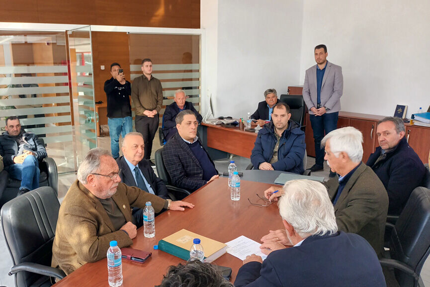 paralavi ilida 4
