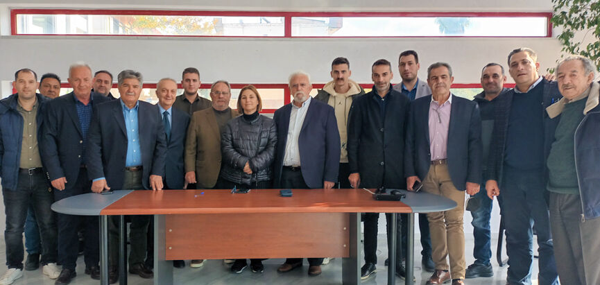 paralavi ilida 5