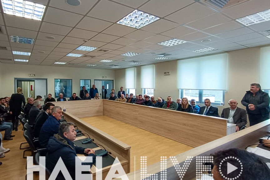 DS pineiou 2