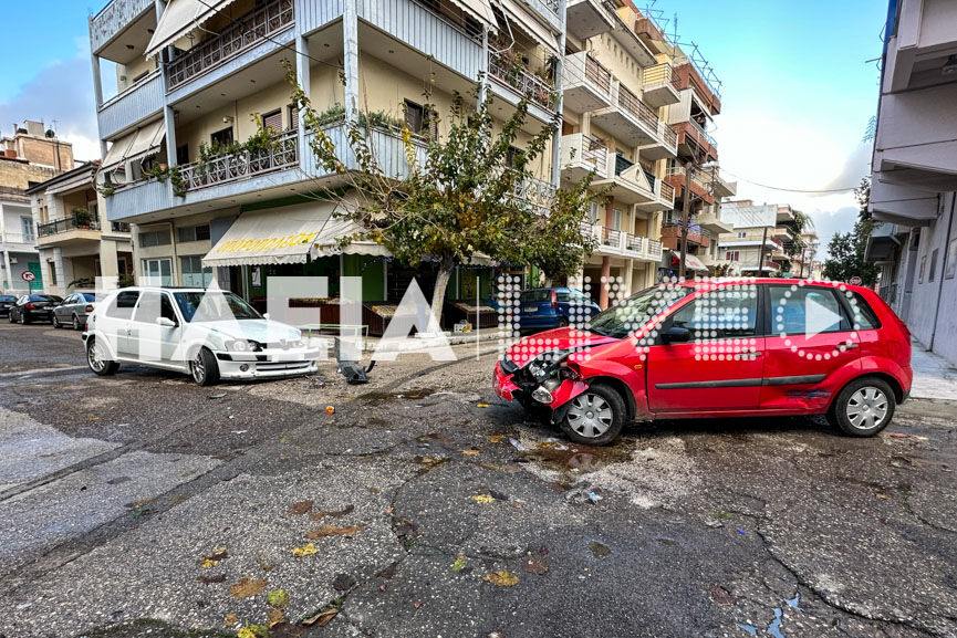 Troxaio deligianni 4