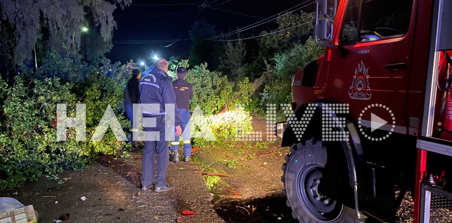 Ηλεία: Πτώσεις δέντρων σε Ε.Ο. Πύργου - Τριπόλεως και Πύργου - Κυπαρισσίας