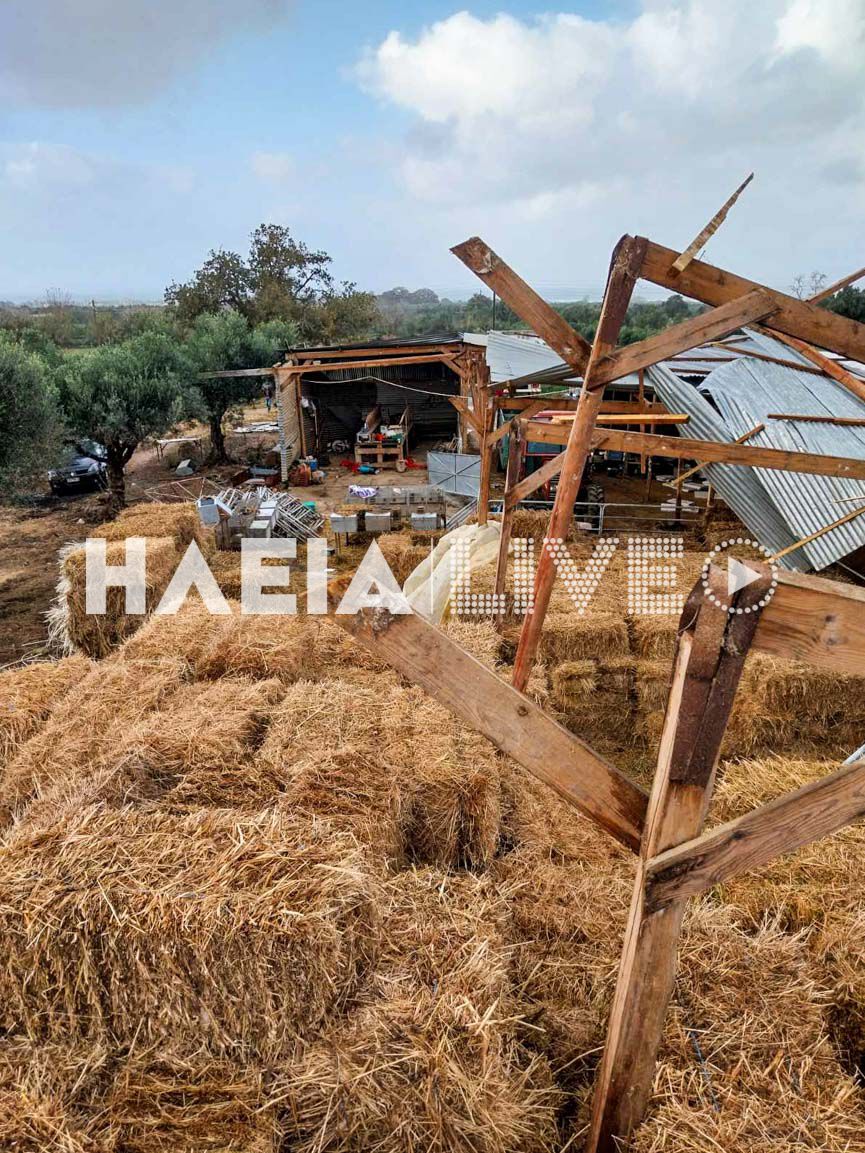 Douneika Stavlos 8