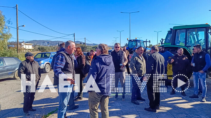 agrotes oasi 7