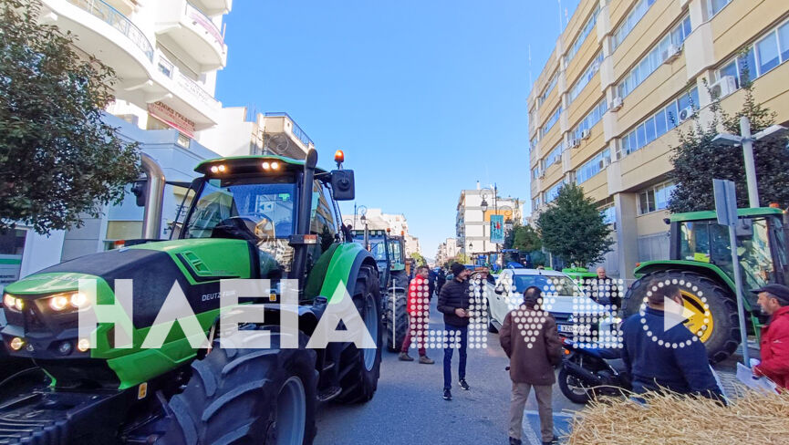 agrotes oasi 8