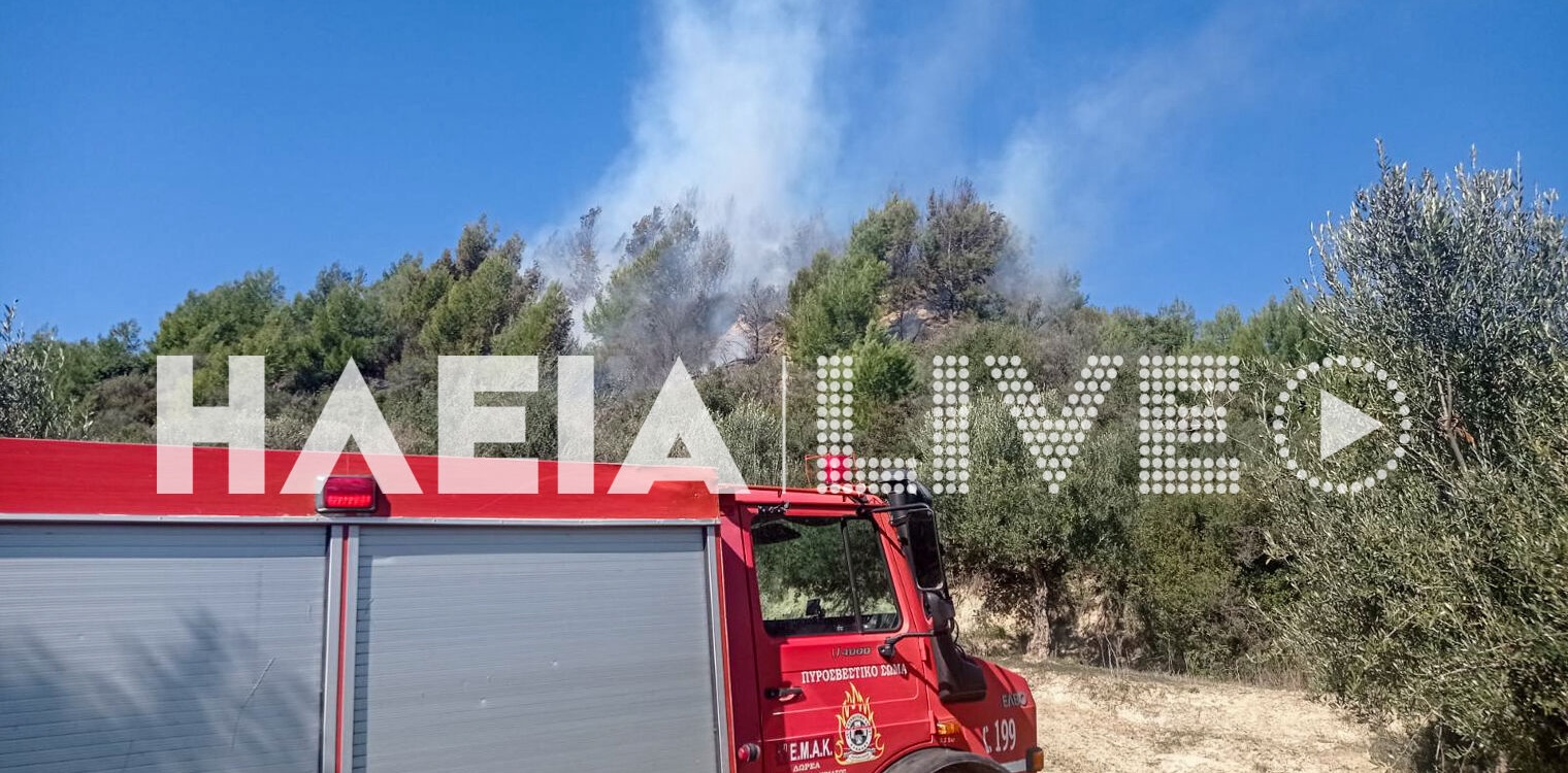 Καλλίδονα: Μεγάλη πυρκαγιά σε δάσος - Σε κινητοποίηση η Πυροσβεστική