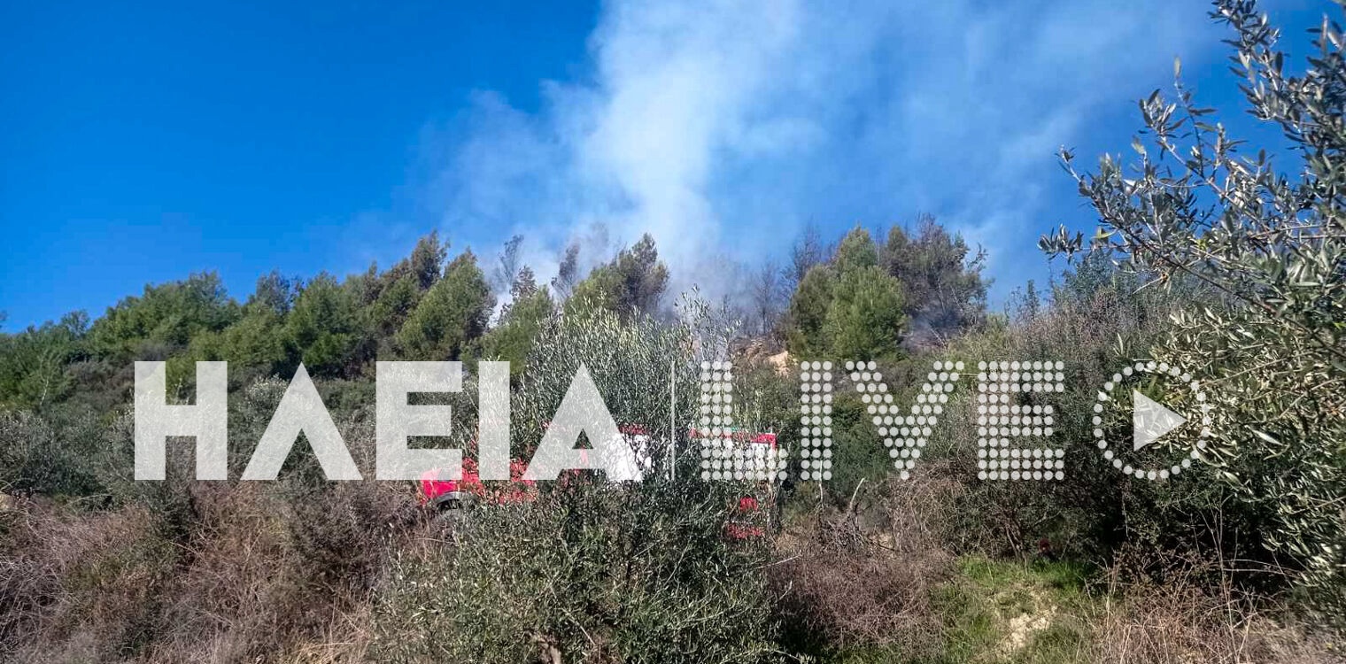 Ηλεία: Τρίτη σύλληψη για εμπρησμό από αμέλεια, μια γυναίκα στην Καλίδονα