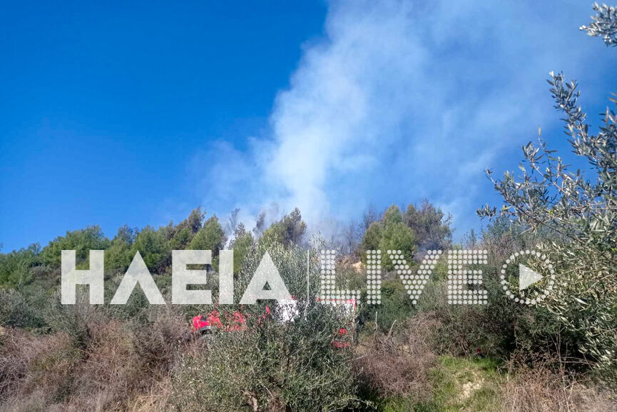 Fotia kalidona 2