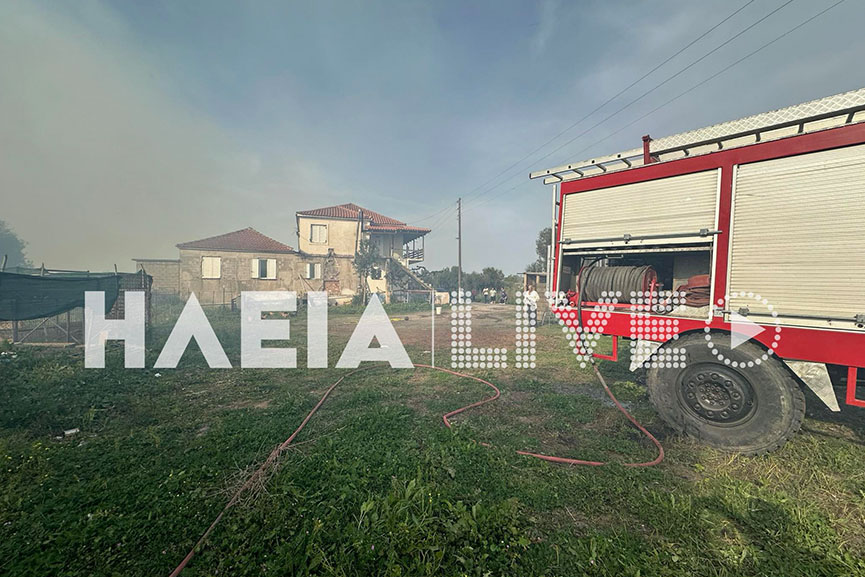 fotia 1 04 2024 1