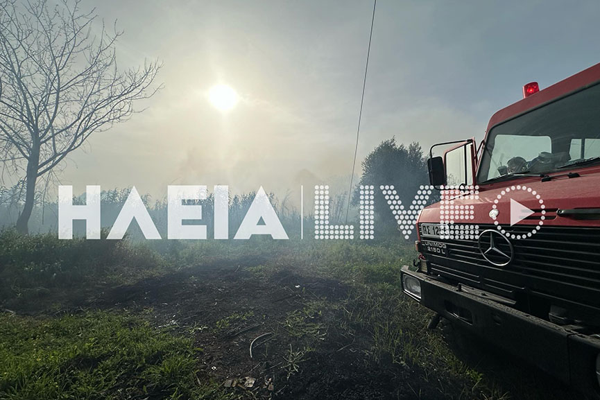 fotia 1 04 2024 6