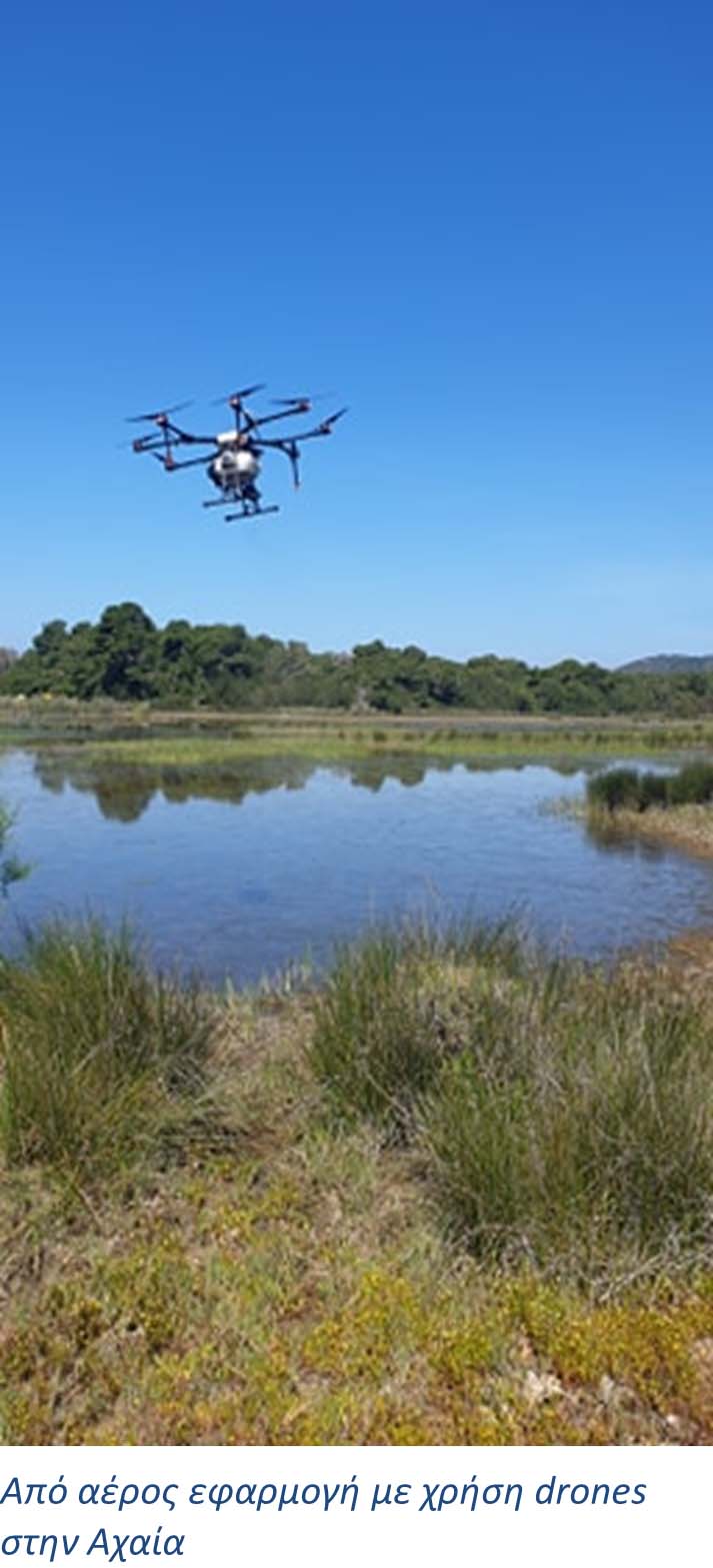 pde kounoupia ant 2