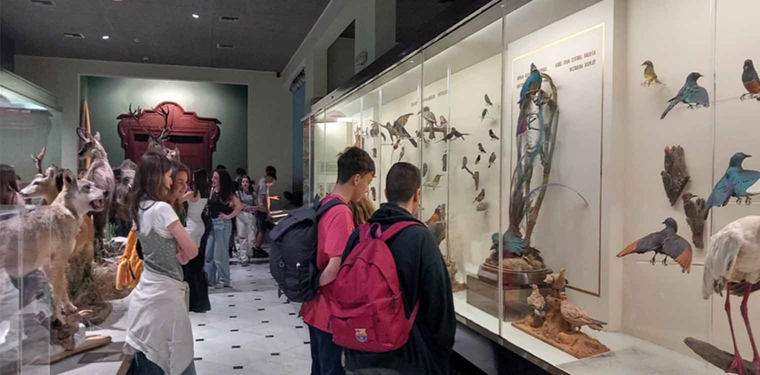 Το 1ο Γυμνάσιο Πύργου στο Μουσείο Γουλανδρή Φυσικής Ιστορίας