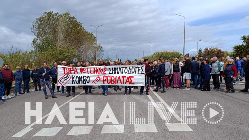 Roviata diamart 7
