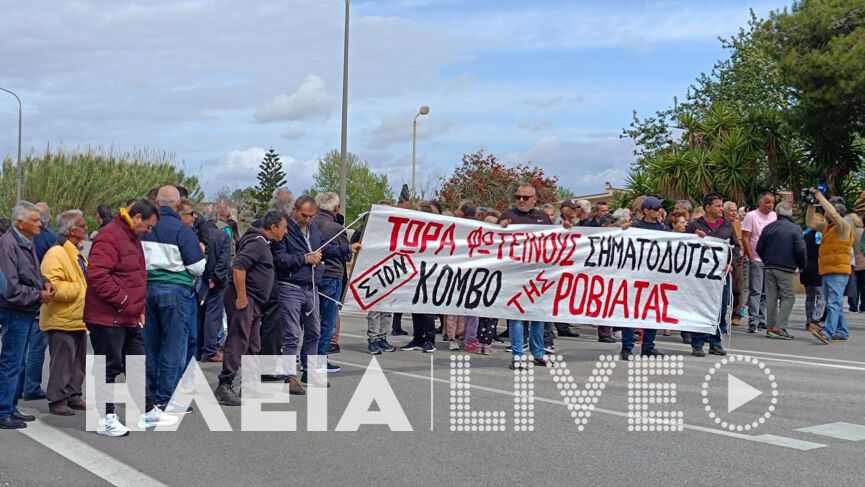 Roviata diamart 9