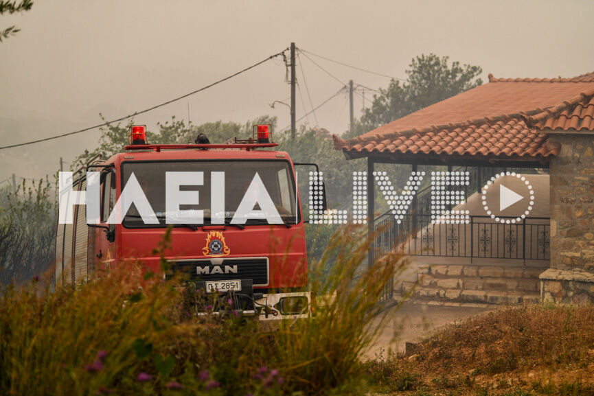 Fotia Sxinoi 13
