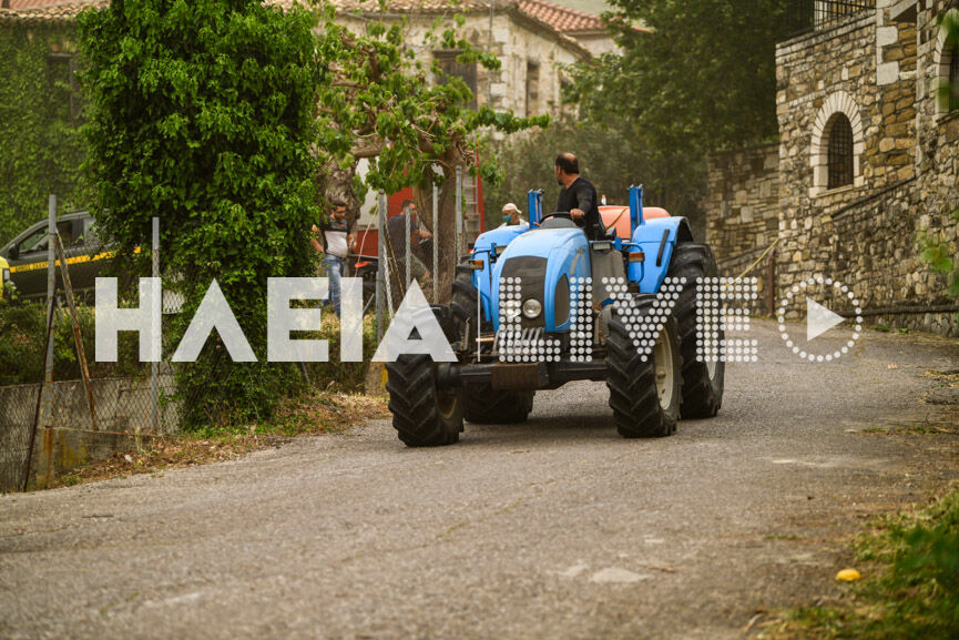 Fotia Sxinoi 3