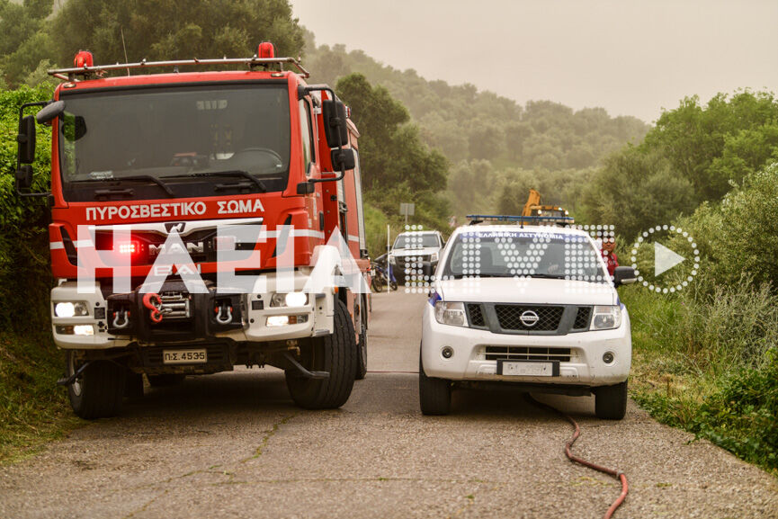 Fotia Sxinoi 7