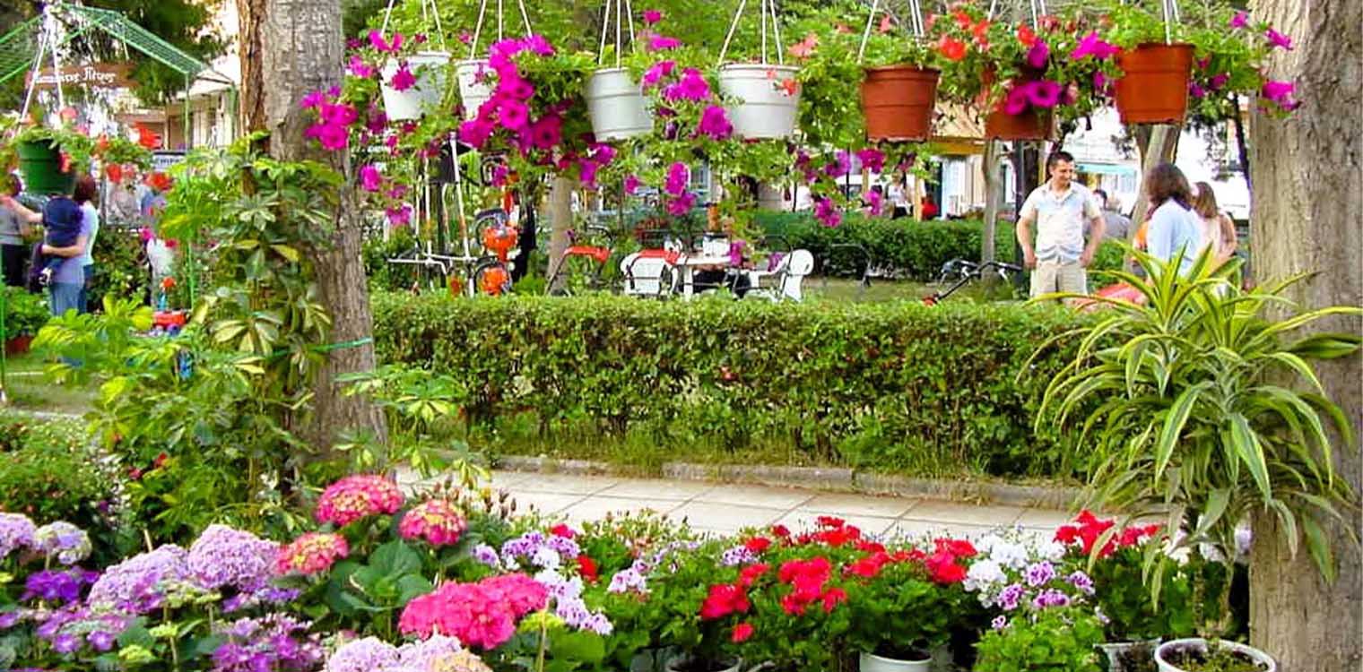 Ξεκινάει στις 16 Μαΐου στο πάρκο Μπελογιάννη η μεγάλη Πανηλειακή Ανθοκομική Έκθεση Αμαλιάδας, σε διοργάνωση του Δήμου Ήλιδας