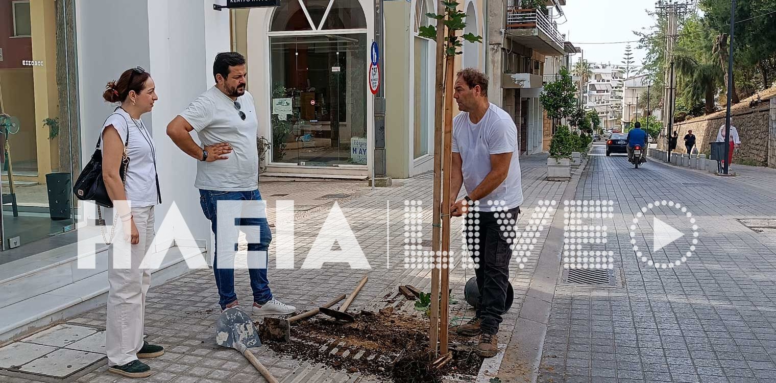 Δήμος Πύργου: Δεντροφυτεύσεις στον αστικό ιστό της πόλης