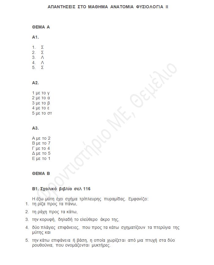 themelio panelladikes24 anatomia epal 1