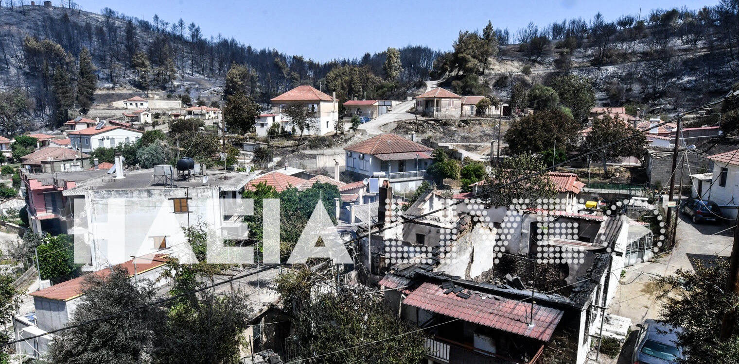 Κοινή δήλωση Γ. Παπανδρέου και Μ. Κατρίνη για τις καταστροφικές πυρκαγιές σε Αχαϊα - Ηλεία