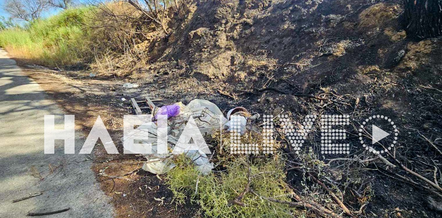 Ντόμπρινο Λαστείκων: Προκλητικά - εγκληματικά αδιόρθωτοι - Πέταξαν σκουπίδια εκεί που ξέσπασε πυρκαγιά την Παρασκευή