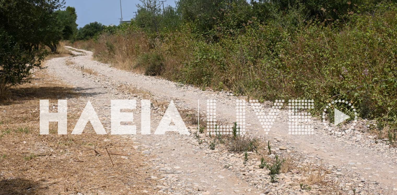 Δασαρχείο Αμαλιάδας: Ξεκινά η συντήρηση του δασικού οδικού δικτύου - Για προσβασιμότητα σε όλο το εύρος του δικτύου