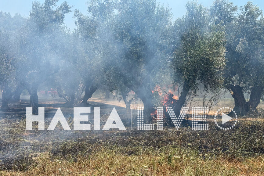 Fotia Lasteika 3