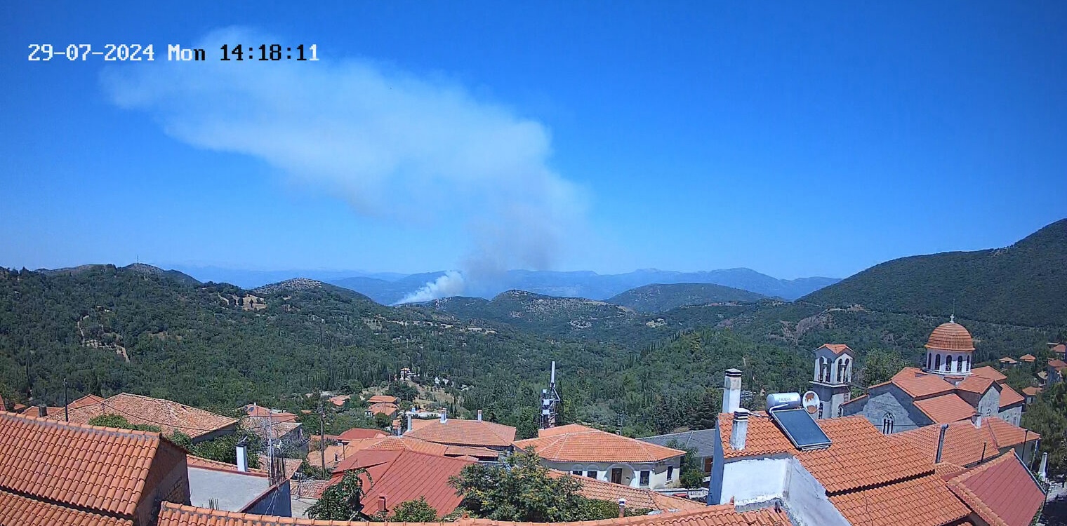 Αρκαδία: Καλύτερη η εικόνα από την πυρκαγιά στα Κακουρέικα, κοντά στην Ανδρίτσαινα