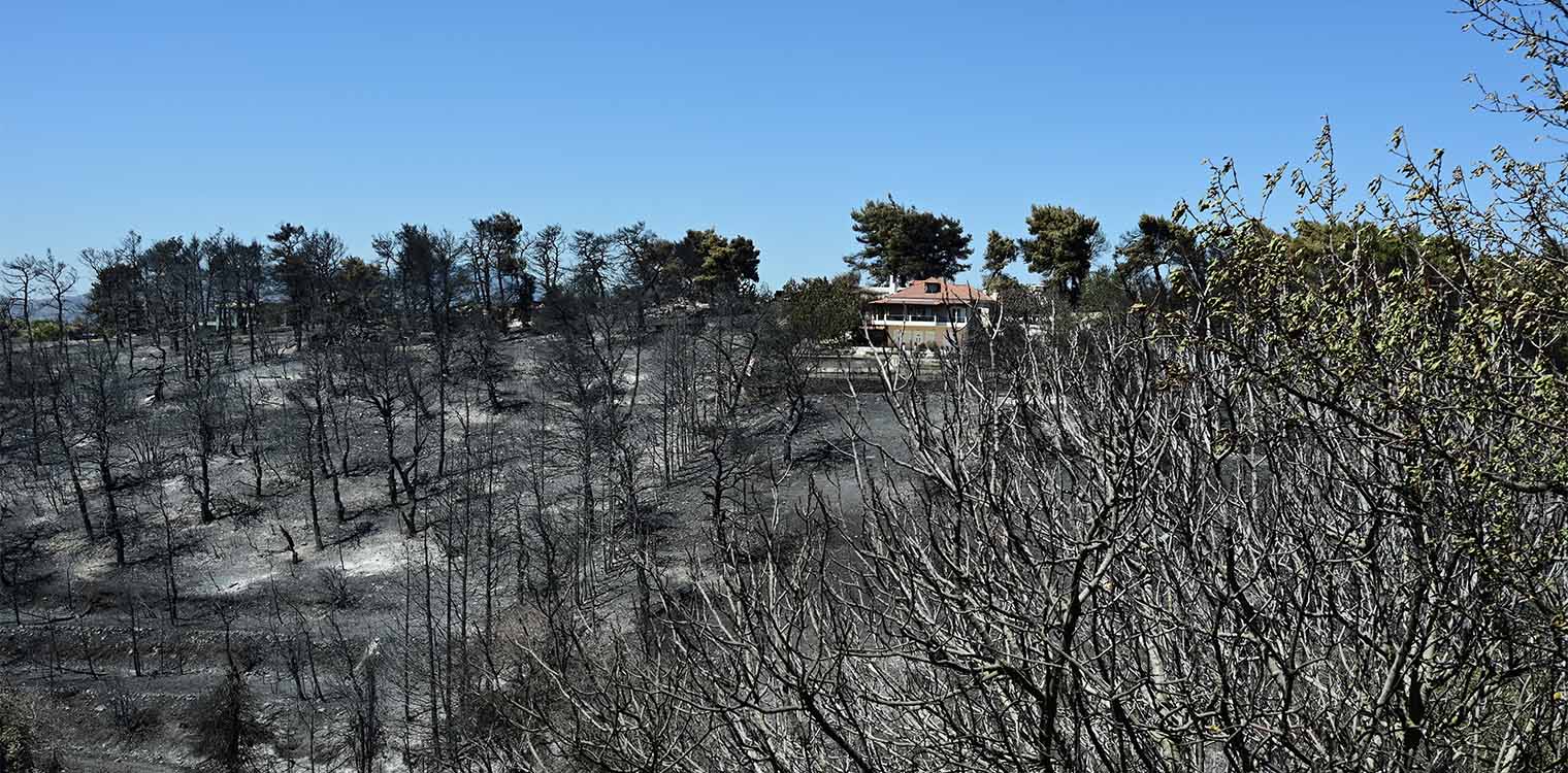 Φωτιά στην Αττική: Καταστροφικό το πέρασμα της πύρινης λαίλαπας - Σοκαριστικές εικόνες