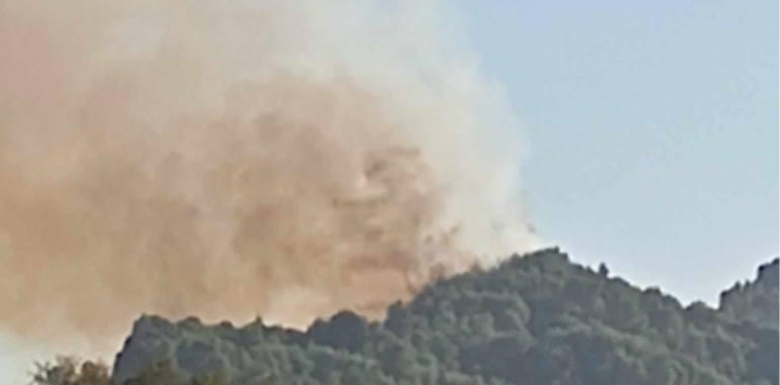 Εφύρα: Μεγάλη πυρκαγιά σε αναγεννημένη δασική έκταση