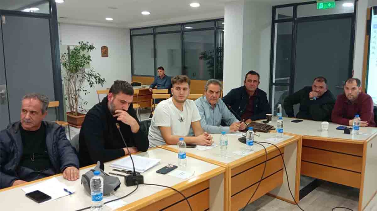 dimos ilidas psif proup 2