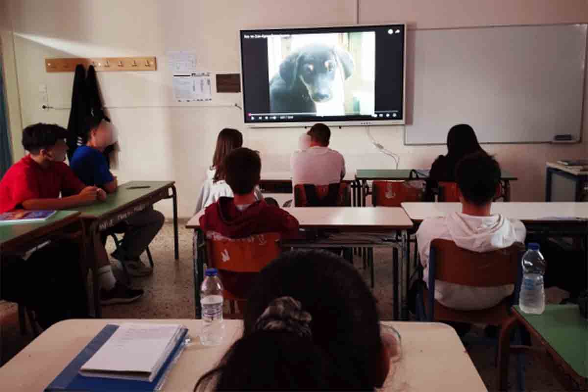2o gymn purgou pag zoon 4